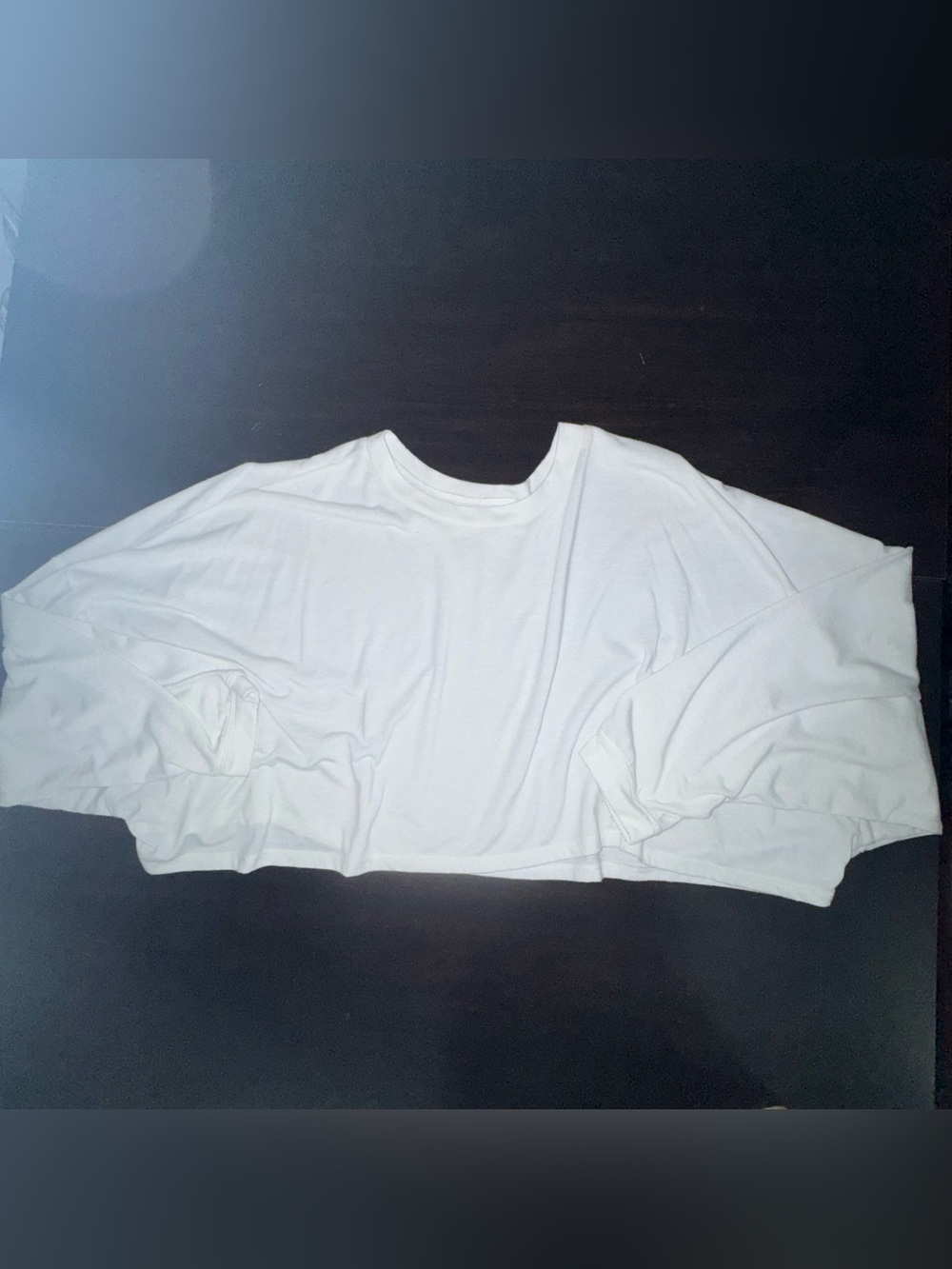 American Eagle White Cropped Long-Sleeve Top